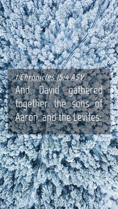 Picture 04 - 1 Chronicles 15:4 ASV Mobile Phone Wallpaper - And David gathered together the sons of Aaron, - Mobile Bible Verse Wallpaper