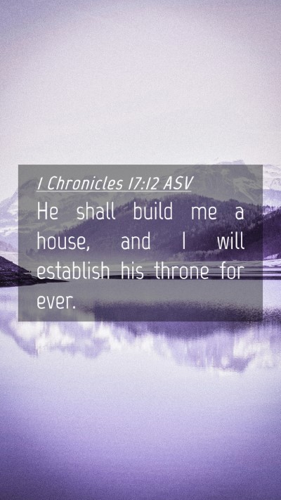Picture 04 - 1 Chronicles 17:12 ASV Mobile Phone Wallpaper - He shall build me a house, and I will establish - Mobile Bible Verse Wallpaper
