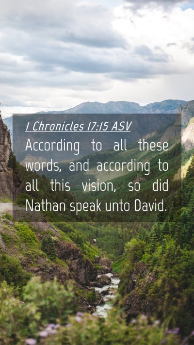 Picture 04 - 1 Chronicles 17:15 ASV Mobile Phone Wallpaper - According to all these words, and according to - Mobile Bible Verse Wallpaper