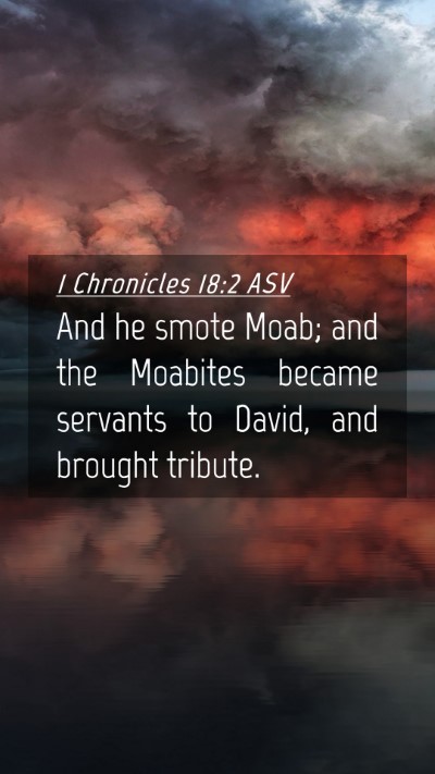 Picture 04 - 1 Chronicles 18:2 ASV Mobile Phone Wallpaper - And he smote Moab; and the Moabites became - Mobile Bible Verse Wallpaper