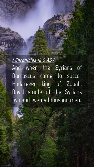 Picture 04 - 1 Chronicles 18:5 ASV Mobile Phone Wallpaper - And when the Syrians of Damascus came to succor - Mobile Bible Verse Wallpaper