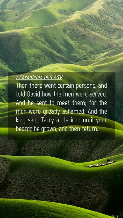 Picture 04 - 1 Chronicles 19:5 ASV Mobile Phone Wallpaper - Then there went certain persons, and told David - Mobile Bible Verse Wallpaper