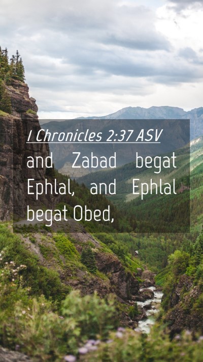Picture 04 - 1 Chronicles 2:37 ASV Mobile Phone Wallpaper - and Zabad begat Ephlal, and Ephlal begat - Mobile Bible Verse Wallpaper