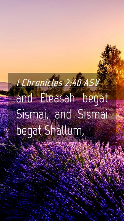Picture 04 - 1 Chronicles 2:40 ASV Mobile Phone Wallpaper - and Eleasah begat Sismai, and Sismai begat - Mobile Bible Verse Wallpaper