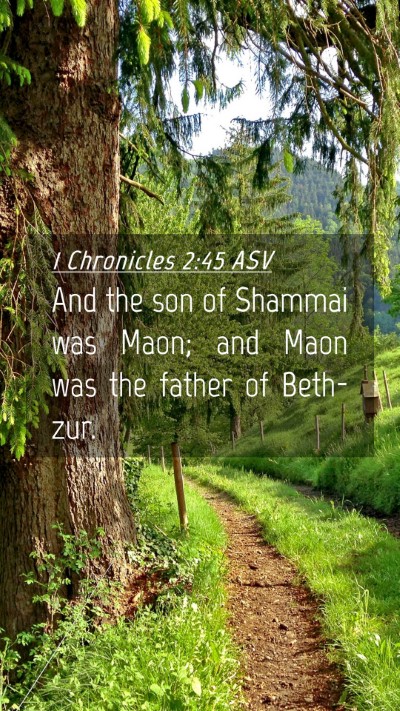 Picture 04 - 1 Chronicles 2:45 ASV Mobile Phone Wallpaper - And the son of Shammai was Maon; and Maon was the - Mobile Bible Verse Wallpaper