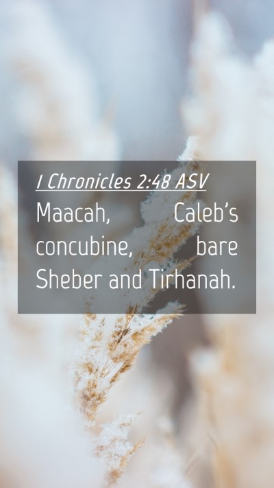 Picture 04 - 1 Chronicles 2:48 ASV Mobile Phone Wallpaper - Maacah, Caleb's concubine, bare Sheber and - Mobile Bible Verse Wallpaper