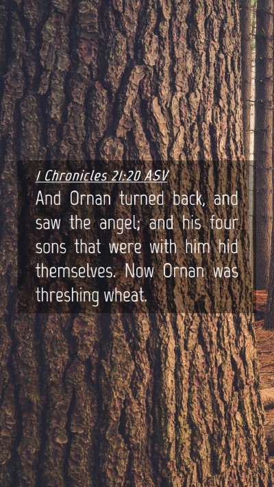 Picture 04 - 1 Chronicles 21:20 ASV Mobile Phone Wallpaper - And Ornan turned back, and saw the angel; and his - Mobile Bible Verse Wallpaper