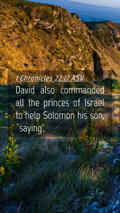 Picture 04 - 1 Chronicles 22:17 ASV Mobile Phone Wallpaper - David also commanded all the princes of Israel to - Mobile Bible Verse Wallpaper