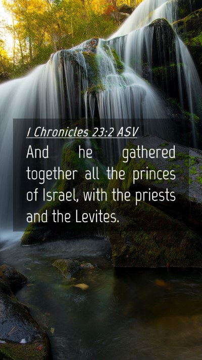 Picture 04 - 1 Chronicles 23:2 ASV Mobile Phone Wallpaper - And he gathered together all the princes of - Mobile Bible Verse Wallpaper