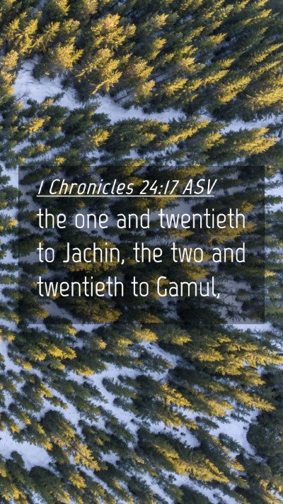 Picture 04 - 1 Chronicles 24:17 ASV Mobile Phone Wallpaper - the one and twentieth to Jachin, the two and - Mobile Bible Verse Wallpaper