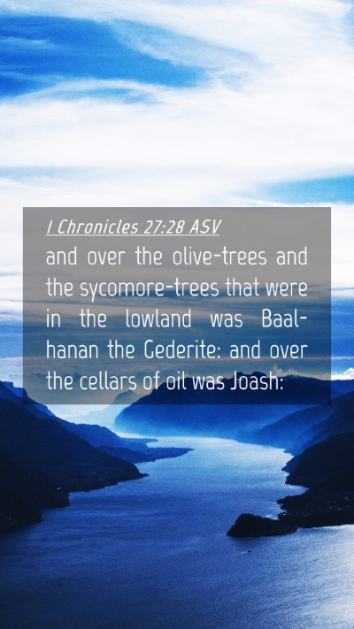 Picture 04 - 1 Chronicles 27:28 ASV Mobile Phone Wallpaper - and over the olive-trees and the sycomore-trees - Mobile Bible Verse Wallpaper