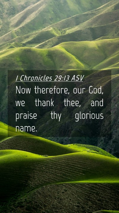 Picture 04 - 1 Chronicles 29:13 ASV Mobile Phone Wallpaper - Now therefore, our God, we thank thee, and praise - Mobile Bible Verse Wallpaper
