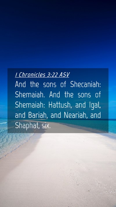 Picture 04 - 1 Chronicles 3:22 ASV Mobile Phone Wallpaper - And the sons of Shecaniah: Shemaiah. And the sons - Mobile Bible Verse Wallpaper