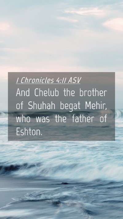 Picture 04 - 1 Chronicles 4:11 ASV Mobile Phone Wallpaper - And Chelub the brother of Shuhah begat Mehir, who - Mobile Bible Verse Wallpaper