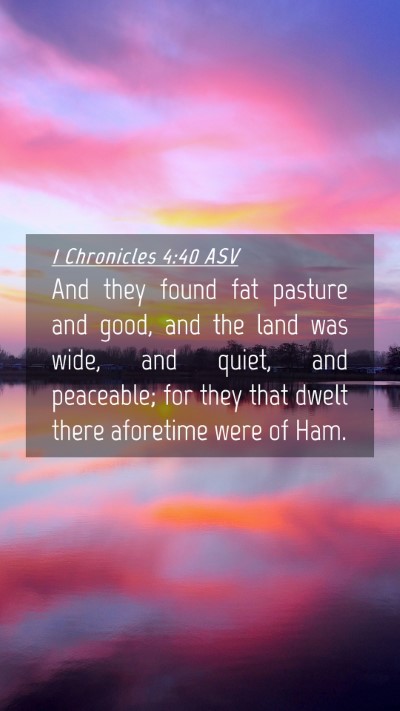 Picture 04 - 1 Chronicles 4:40 ASV Mobile Phone Wallpaper - And they found fat pasture and good, and the land - Mobile Bible Verse Wallpaper
