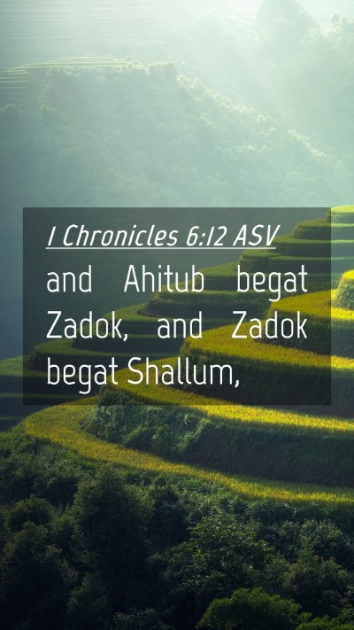 Picture 04 - 1 Chronicles 6:12 ASV Mobile Phone Wallpaper - and Ahitub begat Zadok, and Zadok begat - Mobile Bible Verse Wallpaper