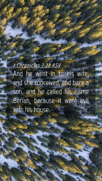 Picture 04 - 1 Chronicles 7:23 ASV Mobile Phone Wallpaper - And he went in to his wife, and she conceived, - Mobile Bible Verse Wallpaper