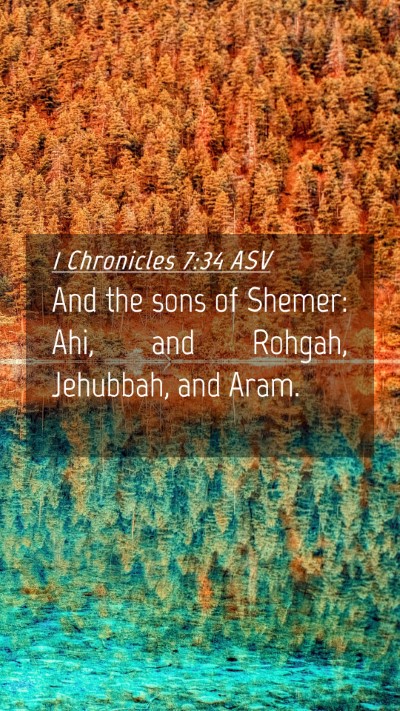 Picture 04 - 1 Chronicles 7:34 ASV Mobile Phone Wallpaper - And the sons of Shemer: Ahi, and Rohgah, - Mobile Bible Verse Wallpaper