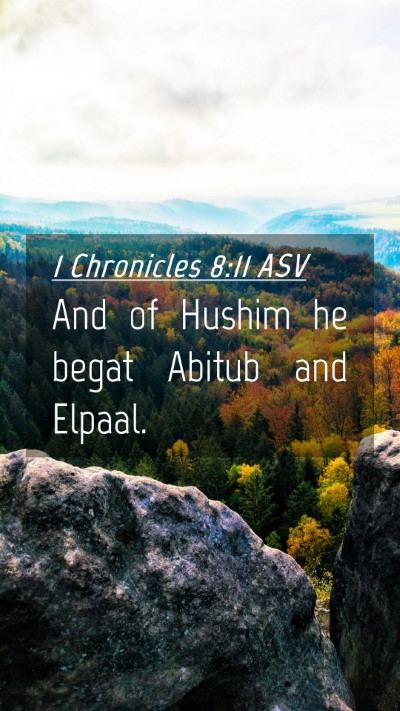 Picture 04 - 1 Chronicles 8:11 ASV Mobile Phone Wallpaper - And of Hushim he begat Abitub and - Mobile Bible Verse Wallpaper