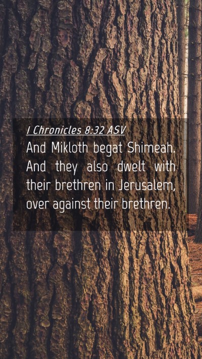 Picture 04 - 1 Chronicles 8:32 ASV Mobile Phone Wallpaper - And Mikloth begat Shimeah. And they also dwelt - Mobile Bible Verse Wallpaper