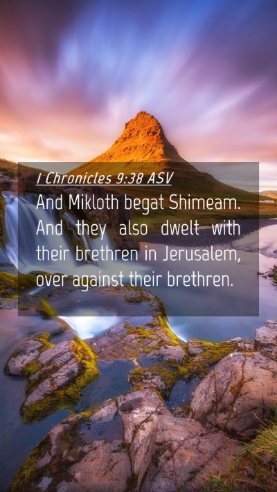 Picture 04 - 1 Chronicles 9:38 ASV Mobile Phone Wallpaper - And Mikloth begat Shimeam. And they also dwelt - Mobile Bible Verse Wallpaper