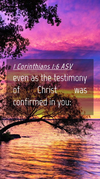 Picture 04 - 1 Corinthians 1:6 ASV Mobile Phone Wallpaper - even as the testimony of Christ was confirmed in - Mobile Bible Verse Wallpaper