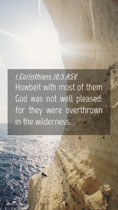 Picture 04 - 1 Corinthians 10:5 ASV Mobile Phone Wallpaper - Howbeit with most of them God was not well - Mobile Bible Verse Wallpaper