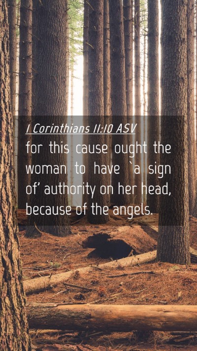 Picture 04 - 1 Corinthians 11:10 ASV Mobile Phone Wallpaper - for this cause ought the woman to have `a sign - Mobile Bible Verse Wallpaper