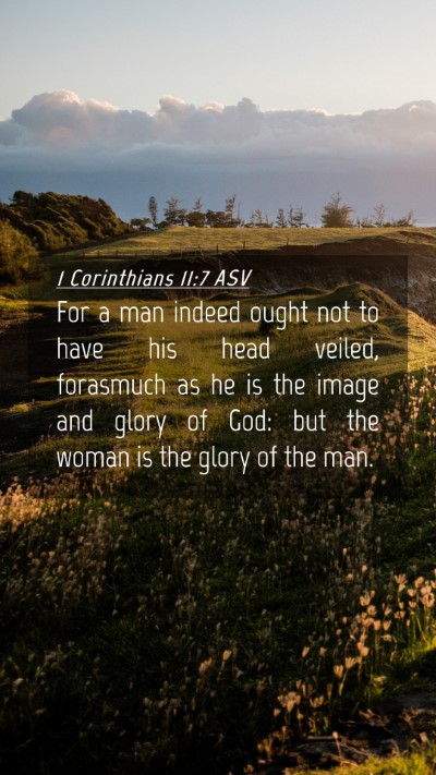 Picture 04 - 1 Corinthians 11:7 ASV Mobile Phone Wallpaper - For a man indeed ought not to have his head - Mobile Bible Verse Wallpaper
