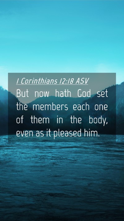 Picture 04 - 1 Corinthians 12:18 ASV Mobile Phone Wallpaper - But now hath God set the members each one of them - Mobile Bible Verse Wallpaper
