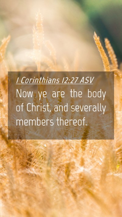 Picture 04 - 1 Corinthians 12:27 ASV Mobile Phone Wallpaper - Now ye are the body of Christ, and severally - Mobile Bible Verse Wallpaper