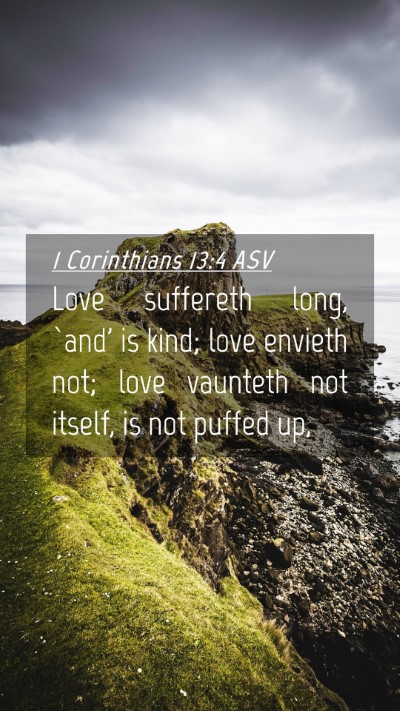 Picture 04 - 1 Corinthians 13:4 ASV Mobile Phone Wallpaper - Love suffereth long, `and' is kind; love envieth - Mobile Bible Verse Wallpaper