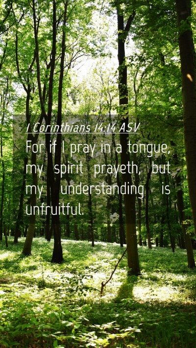 Picture 04 - 1 Corinthians 14:14 ASV Mobile Phone Wallpaper - For if I pray in a tongue, my spirit prayeth, but - Mobile Bible Verse Wallpaper