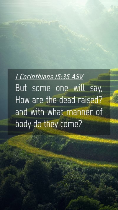 Picture 04 - 1 Corinthians 15:35 ASV Mobile Phone Wallpaper - But some one will say, How are the dead raised? - Mobile Bible Verse Wallpaper