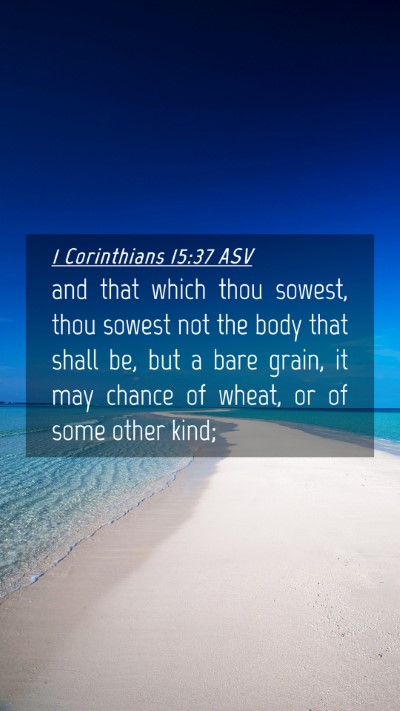 Picture 04 - 1 Corinthians 15:37 ASV Mobile Phone Wallpaper - and that which thou sowest, thou sowest not the - Mobile Bible Verse Wallpaper