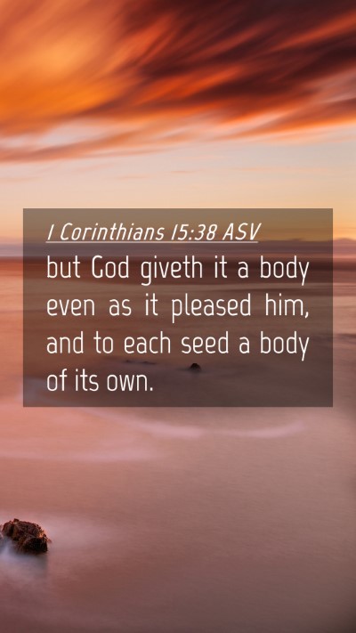 Picture 04 - 1 Corinthians 15:38 ASV Mobile Phone Wallpaper - but God giveth it a body even as it pleased him, - Mobile Bible Verse Wallpaper
