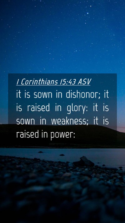 Picture 04 - 1 Corinthians 15:43 ASV Mobile Phone Wallpaper - it is sown in dishonor; it is raised in glory: it - Mobile Bible Verse Wallpaper