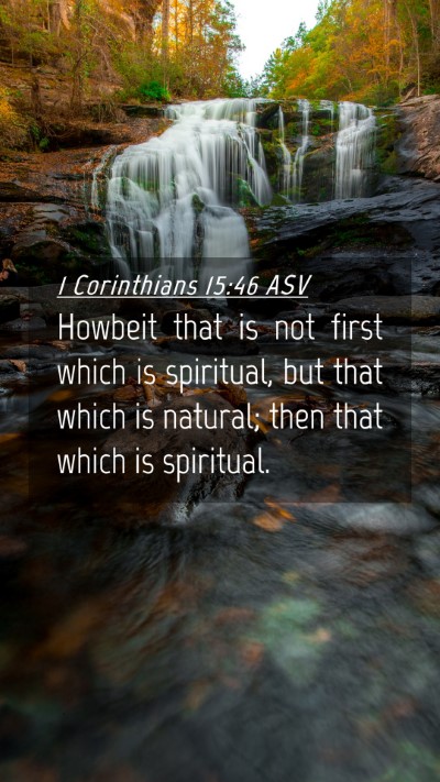 Picture 04 - 1 Corinthians 15:46 ASV Mobile Phone Wallpaper - Howbeit that is not first which is spiritual, but - Mobile Bible Verse Wallpaper