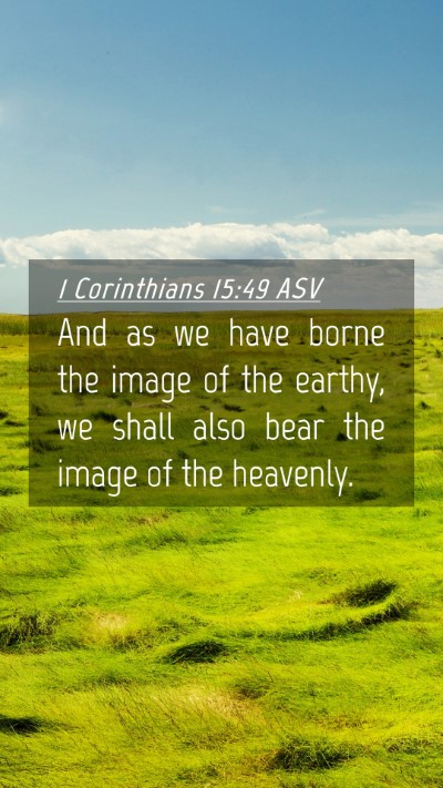 Picture 04 - 1 Corinthians 15:49 ASV Mobile Phone Wallpaper - And as we have borne the image of the earthy, we - Mobile Bible Verse Wallpaper