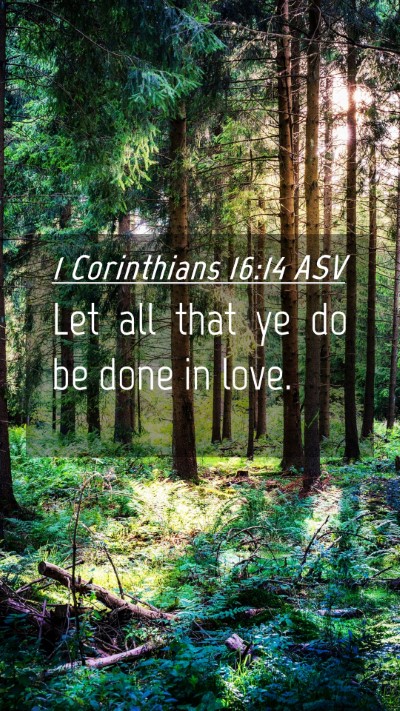 Picture 04 - 1 Corinthians 16:14 ASV Mobile Phone Wallpaper - Let all that ye do be done in - Mobile Bible Verse Wallpaper