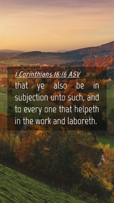 Picture 04 - 1 Corinthians 16:16 ASV Mobile Phone Wallpaper - that ye also be in subjection unto such, and to - Mobile Bible Verse Wallpaper