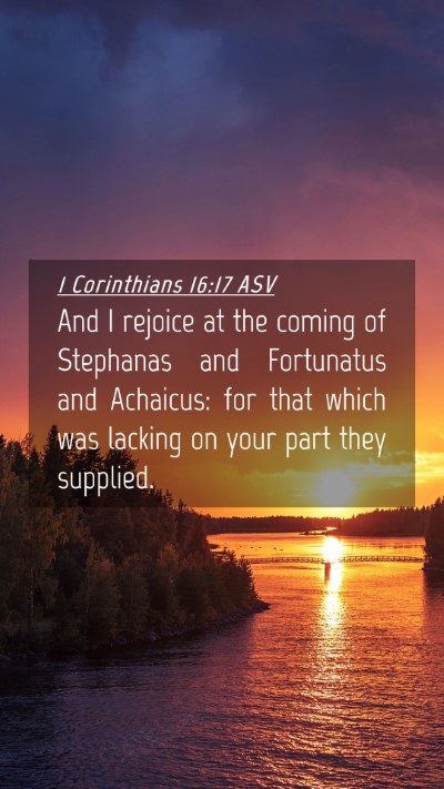 Picture 04 - 1 Corinthians 16:17 ASV Mobile Phone Wallpaper - And I rejoice at the coming of Stephanas and - Mobile Bible Verse Wallpaper