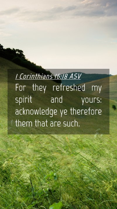 Picture 04 - 1 Corinthians 16:18 ASV Mobile Phone Wallpaper - For they refreshed my spirit and yours: - Mobile Bible Verse Wallpaper