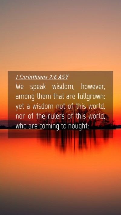 Picture 04 - 1 Corinthians 2:6 ASV Mobile Phone Wallpaper - We speak wisdom, however, among them that are - Mobile Bible Verse Wallpaper