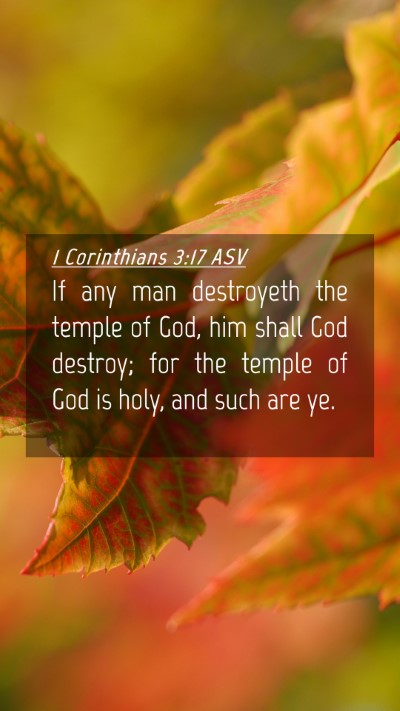 Picture 04 - 1 Corinthians 3:17 ASV Mobile Phone Wallpaper - If any man destroyeth the temple of God, him - Mobile Bible Verse Wallpaper