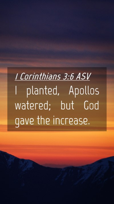 Picture 04 - 1 Corinthians 3:6 ASV Mobile Phone Wallpaper - I planted, Apollos watered; but God gave the - Mobile Bible Verse Wallpaper
