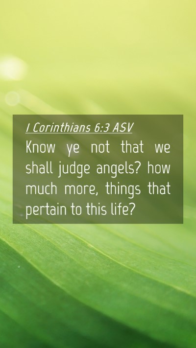 Picture 04 - 1 Corinthians 6:3 ASV Mobile Phone Wallpaper - Know ye not that we shall judge angels? how much - Mobile Bible Verse Wallpaper