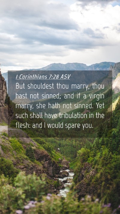 Picture 04 - 1 Corinthians 7:28 ASV Mobile Phone Wallpaper - But shouldest thou marry, thou hast not sinned; - Mobile Bible Verse Wallpaper