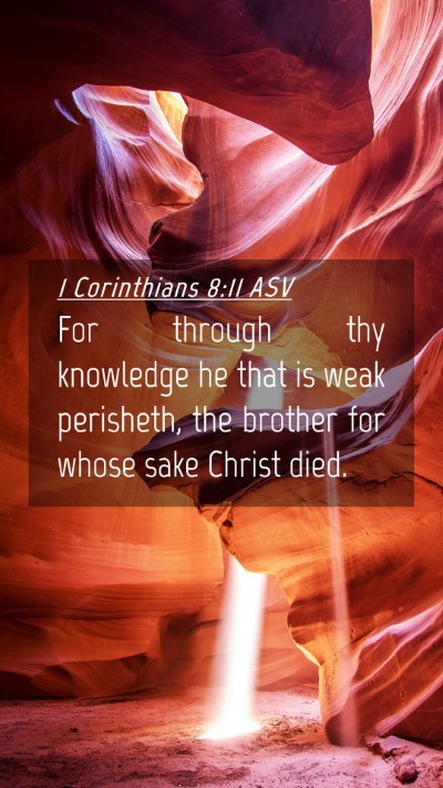 Picture 04 - 1 Corinthians 8:11 ASV Mobile Phone Wallpaper - For through thy knowledge he that is weak - Mobile Bible Verse Wallpaper