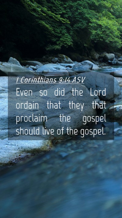 Picture 04 - 1 Corinthians 9:14 ASV Mobile Phone Wallpaper - Even so did the Lord ordain that they that - Mobile Bible Verse Wallpaper